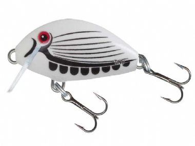 WHITE BAIT